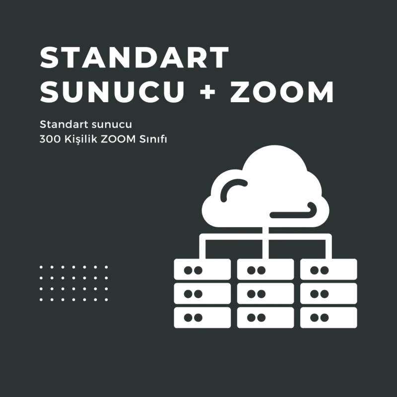 Standart Sunucu + Bir Adet Zoom Sınıfı (Aylık Fiyat)
